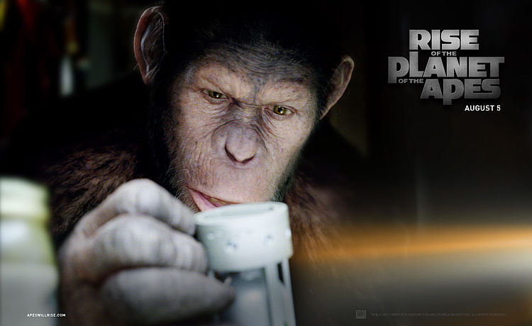 RISE OF THE PLANET OF THE APES