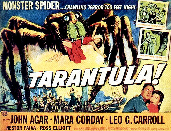 TARANTULA!