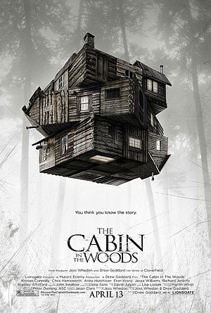 A CABIN IN THE WOODS