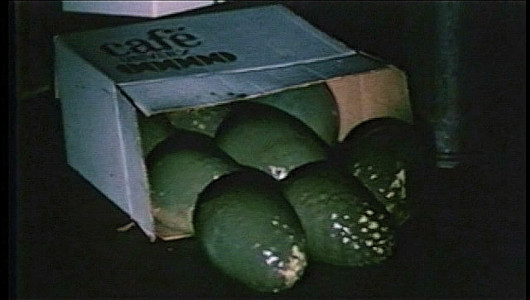 Here are the green eggs...